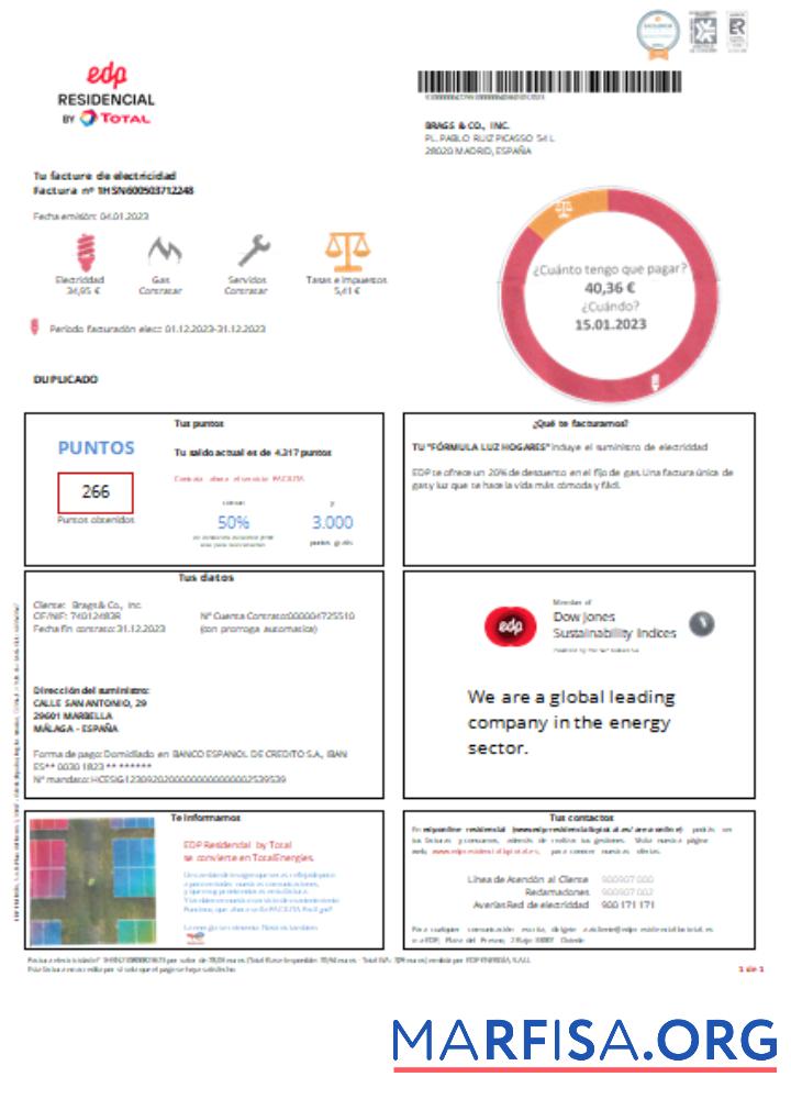 Blank EDP Spain utility business bill, SCR example